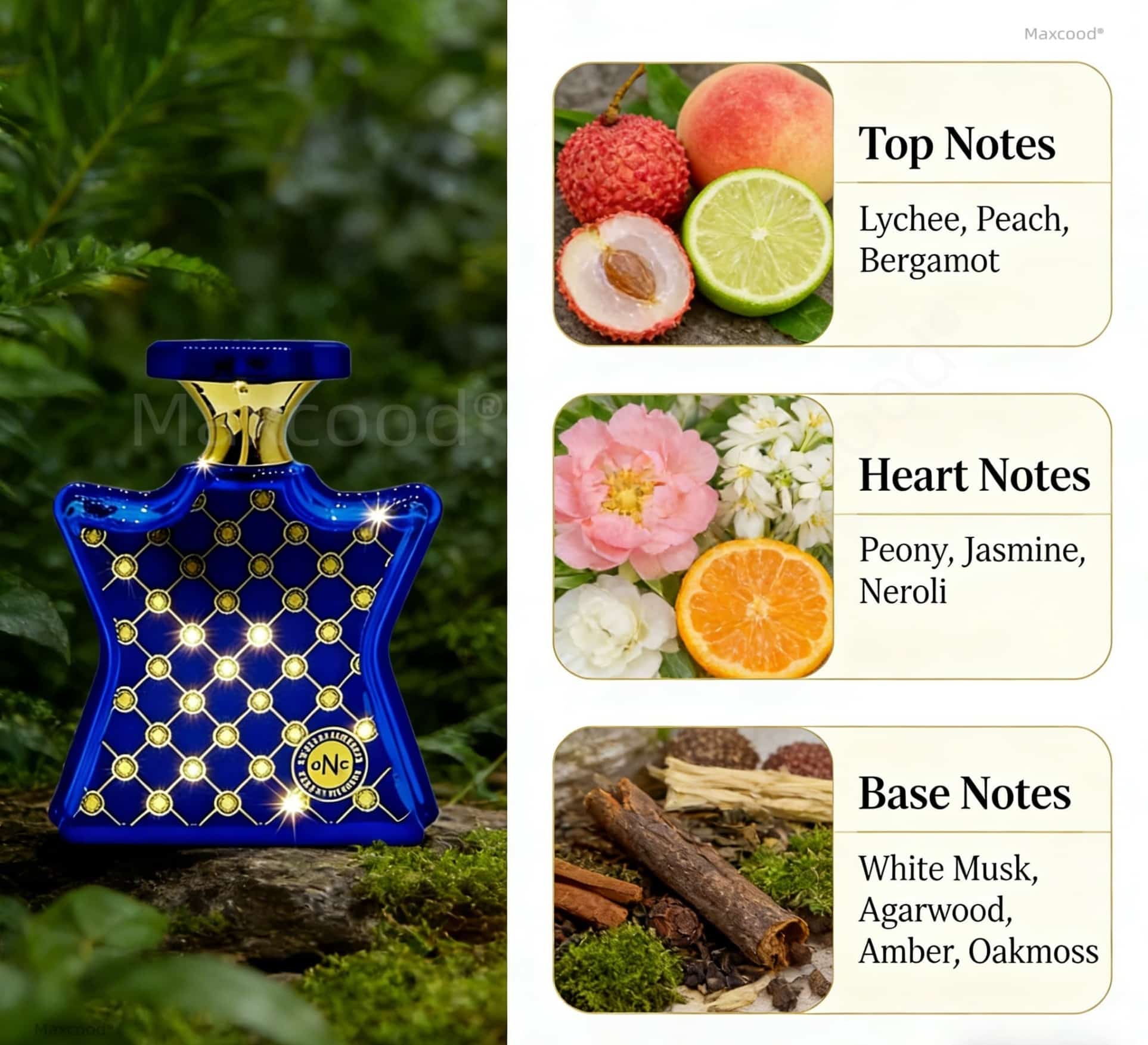 柑橘系とフローラル系の香水 長持ちする香り 日常使いに最適  - Perfume Fragrance Dupe のレビューと価格