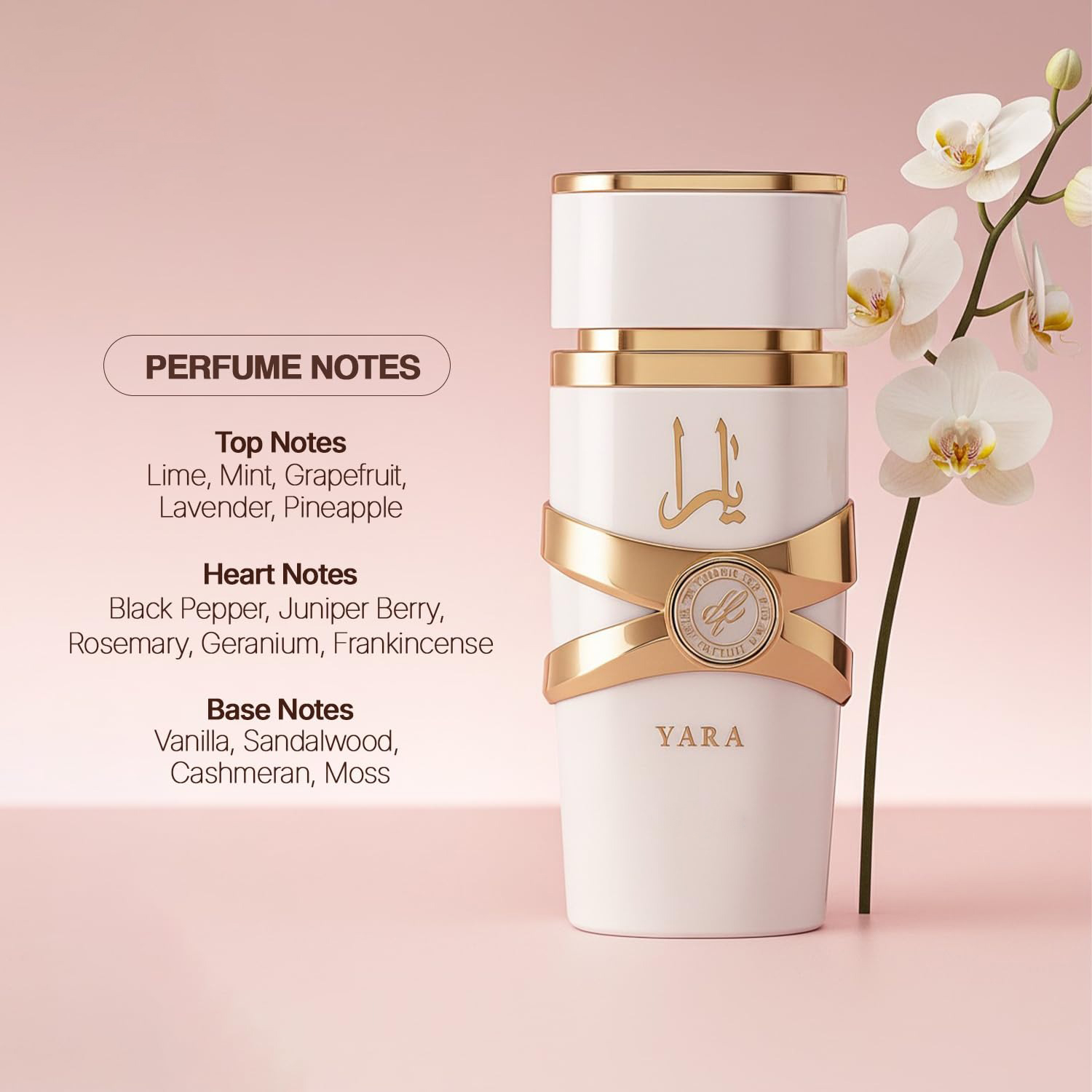 ヤラモイ - 3.4オンス フローラル、フルーティ、グルマン - Yara Perfume Fragrance のレビューと価格
