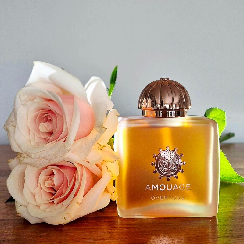 AMOUAGE 高級女性用香水 100ml フローラル オリ - The Collection Perfume Fragrance のレビューと価格
